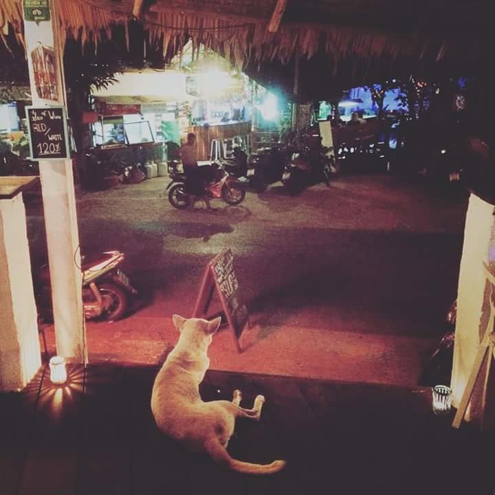 Margaritaville Lonely Beach Hotel Koh Chang Exterior foto